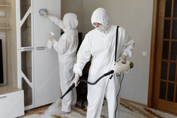 Professional Mold Removal in Verdigris, OK