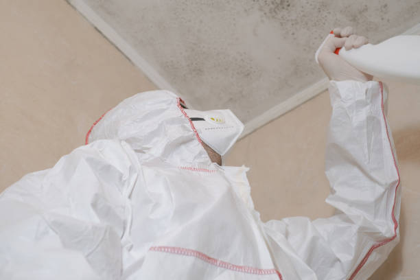 Mold Removal and Inspection in Verdigris, OK